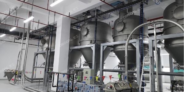 密相氣力輸送系統存在的常見問題，產生問題的原因及影響因素。